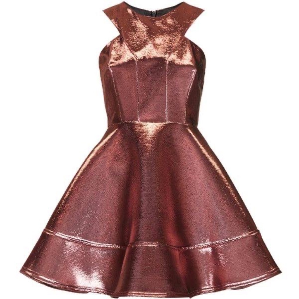 Topshop Stylish Skater Dress
